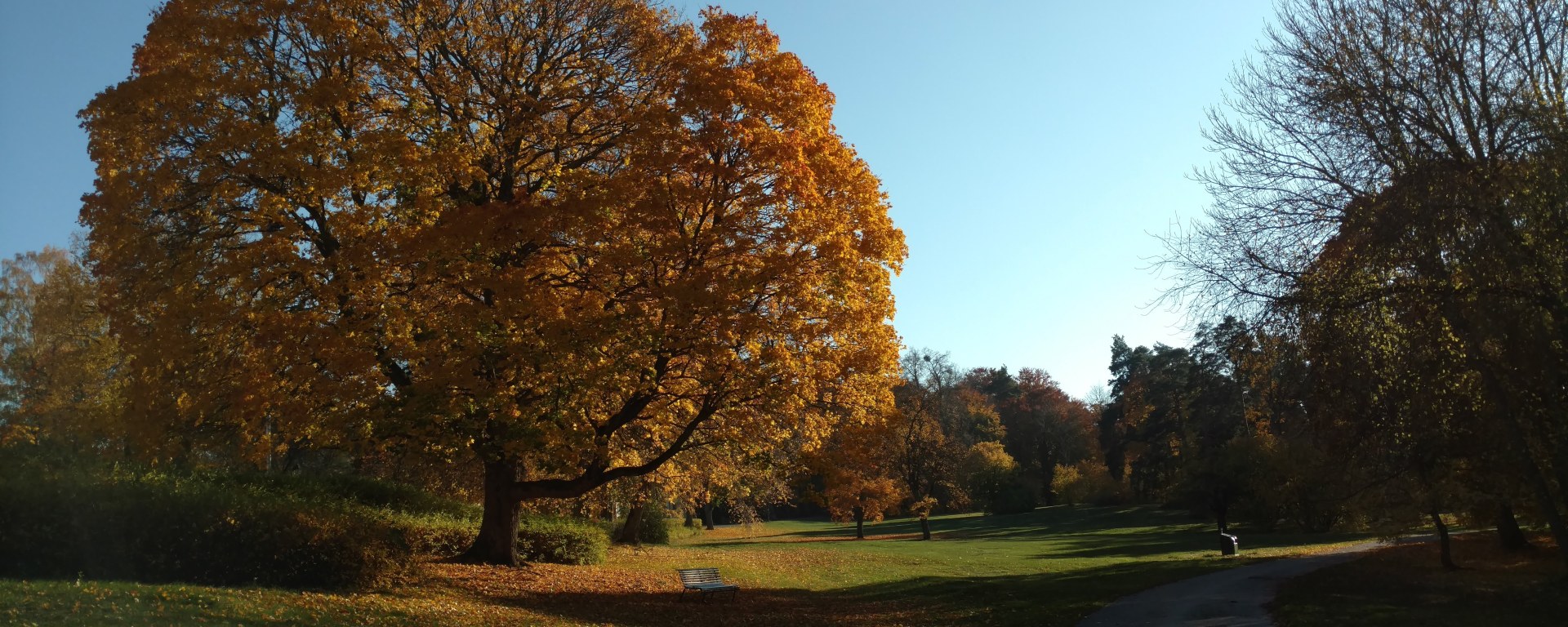 Close to where we live