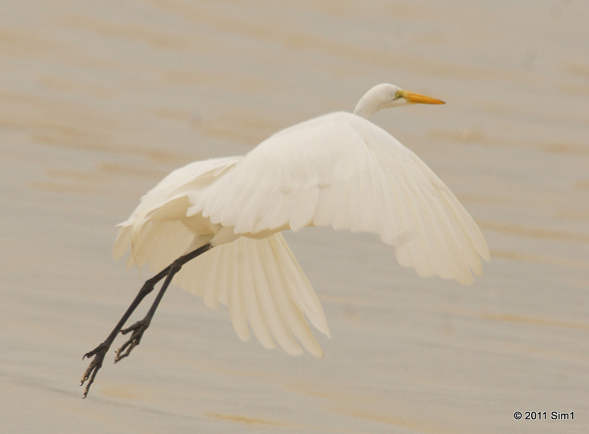 Top 68 Family Physicians near North Royalton, OH| Vitals, image size:1200x884